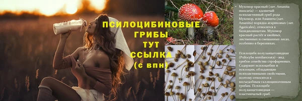 герыч Алзамай