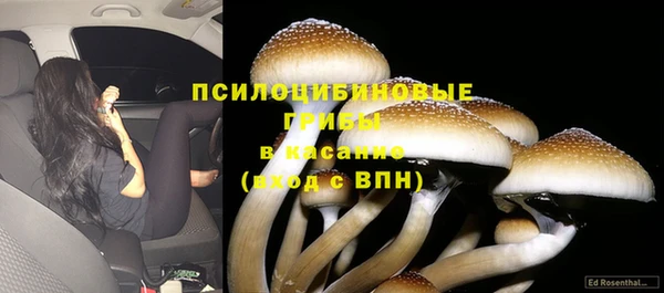 PSILOCYBIN Алексин