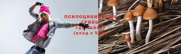 PSILOCYBIN Алексин