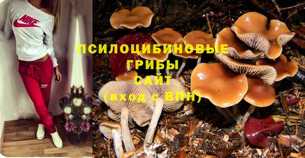 PSILOCYBIN Алексин