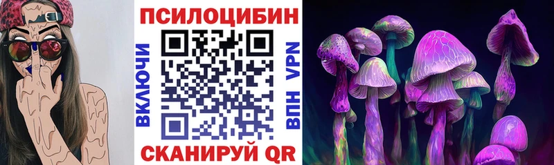 наркота  Электрогорск  hydra вход  Галлюциногенные грибы Psilocybine cubensis 