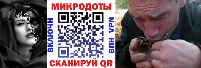Псилоцибиновые грибы мухоморы Электрогорск
